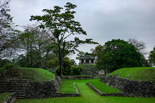 Palenque, Mexico - March 25, 2025: Palenque archaeological site in Palenque, Chiapas, Mexico.