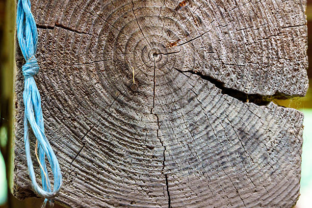 Dark wood texture