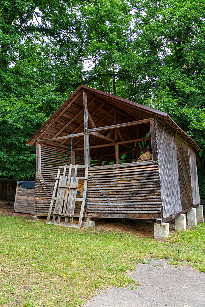 istock hay storage barn with green trees in the background 2233733985