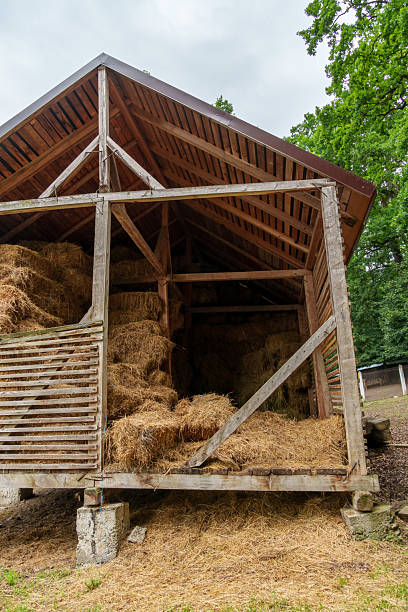 istock hay storage barn with green trees in the background 2233734123