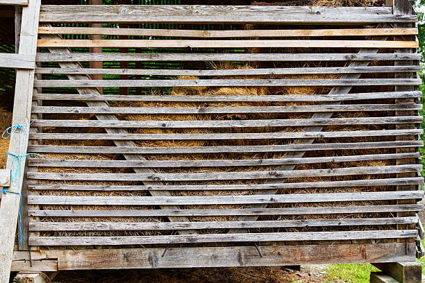 hay barn wall, old wooden boards as background