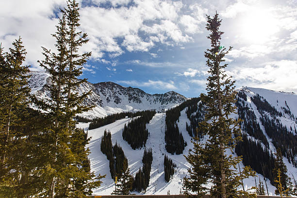 istock Snow-Covered Mountain Slope with Conifer Trees under a Bright Sky in Winter 2233739004