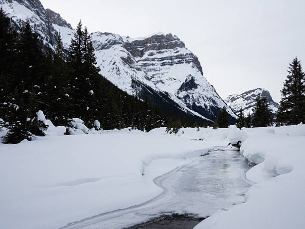 istock Snow-Covered Riverbank in a Mountainous Wilderness During Winter 2233739286