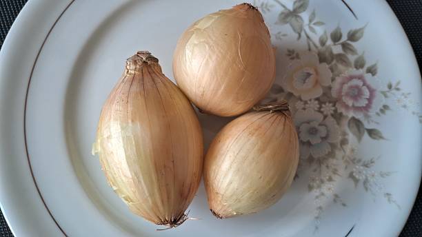 istock Onions on a white floral plate 2233739641