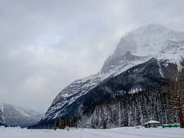 Majestic mountain range blanketed in snow, surrounded by a peaceful winter forest and cloudy skies.