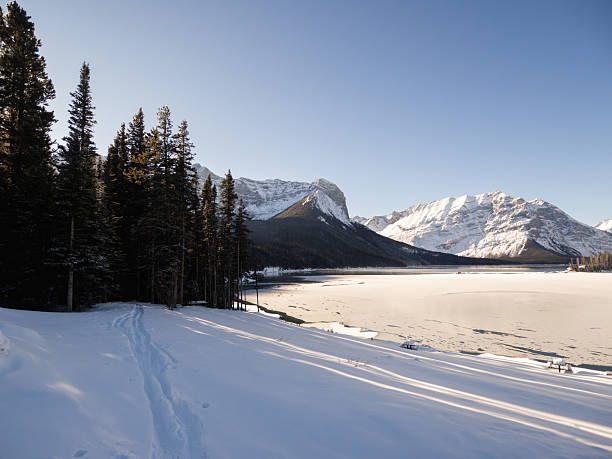istock Snow-Covered Landscape with Lake and Pine Trees in Winter 2233740696