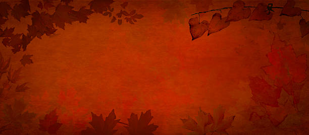 istock Autumn Leaves Framed Background with Copy Space - Vivid Red Orange 2233741492