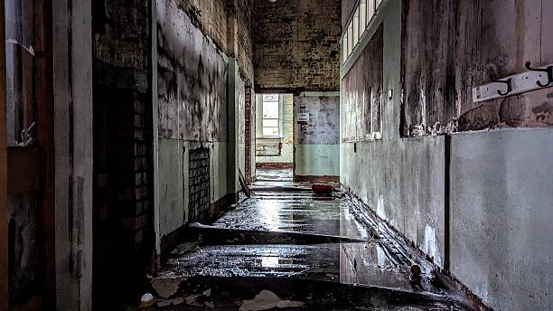 istock Creepy dark empty hallway. Eerie corridor, natural light. Peeling paint, warped floorboards after flooding damage in derelict abandoned passageway of hospital. Natural disaster aftermath, deserted open hall doorways vandalised, haunted apocalyptic feel. 2233747645