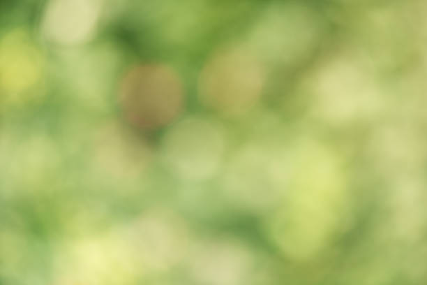 istock Abstract natural defocus light background green and orange. Bokeh 2233750266