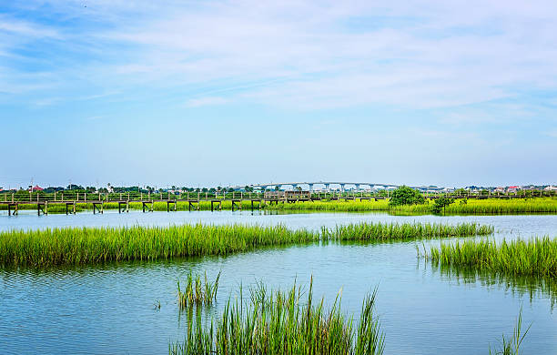 istock Matanzas River tidal marsh and Vilano Causeway in St. Augustine Florida 2233755621