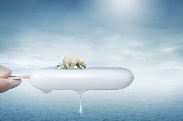 Creative photography depicts a polar bear melting on an ice cream cone, symbolizing the ecological challenges posed by climate warming and glacial melting.