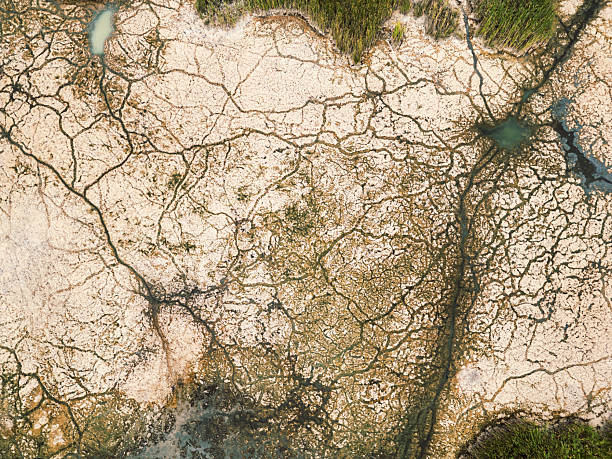 istock Dry Gypsum Wetland 2233755702