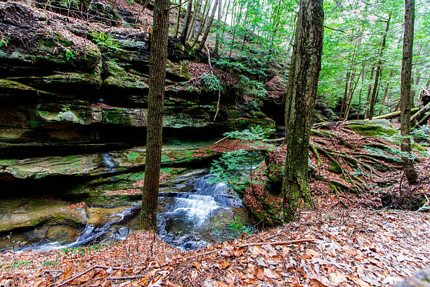 istock Old Man's Cave, Hocking Hills State Park, Ohio 2233759124