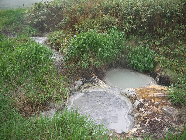 istock Mud pot and thermal pools in green grass 2233763454