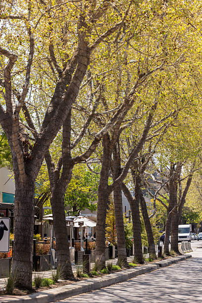istock Historic Downtown Menlo Park California 2233766878