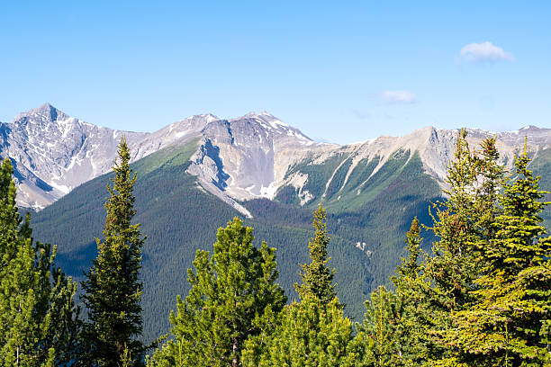 istock Majestic mountain range in Banff surrounded by evergreen trees on a clear sunny day 2233767787