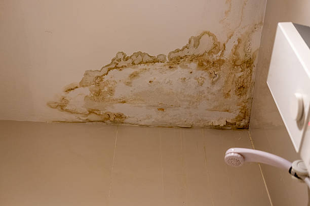 istock Bathroom ceiling with visible moisture stains showing dampness, humidity, and water damage 2233768719