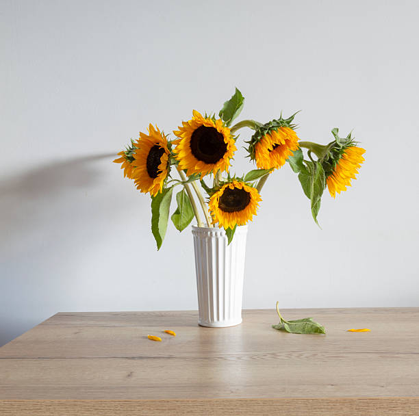 istock summer bouquet with sunflowers on background white wall 2233771470