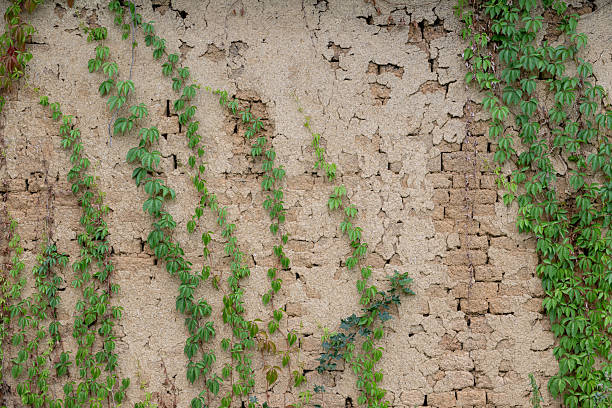 A deteriorating brick wall with visible cracks and erosion is partly covered by climbing green ivy and wild plants. The mix of rough masonry and natural growth creates a rustic and aged aesthetic. The image symbolizes decay, resilience, and the reclaiming power of nature.