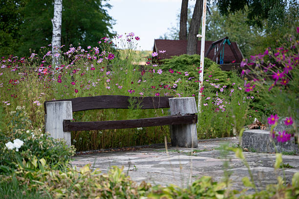 Flower in garden. Beautiful soft pink flowers and vintage white bench in a serene garden setting with natural light and lush greenery.