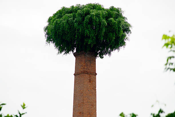 istock Creative Transformation of Old Chimney into Lush Green Landmark 2233772769