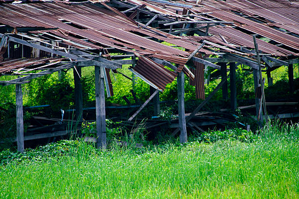 Captivating view of an abandoned rustic structure with a decaying roof, surrounded by lush, overgrown vegetation, highlighting nature's reclaiming of manmade spaces.