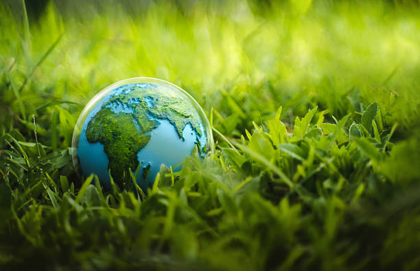 istock Protecting the green tree world with environment icons on nature background. Ecology and environment concept. 2233777554