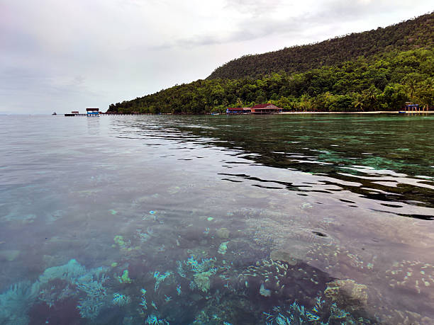 istock Corals off Kri island, Raja Ampat, Indonesia 2233781311