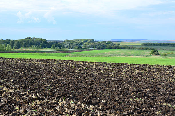 Agricultural Landscape with Ploughed Field and Green Fields wallpaper