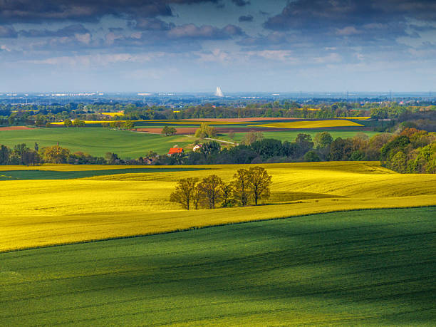 istock Scenic View of Agricultural Fields and Trees 2233795918