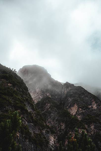 Moody mountain landscape with mist-covered peaks and lush greenery under a cloudy sky.