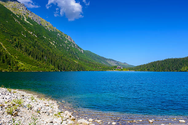 istock landscape with alpine lake in summer 2233799495