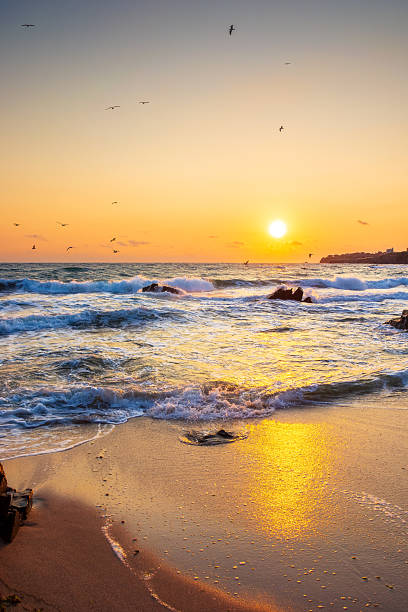 istock summer vacation at the sea 2233799503
