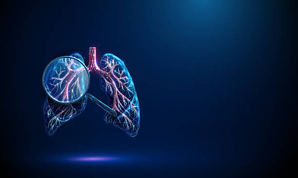 ilustrações de stock, clip art, desenhos animados e ícones de 3d blue lungs with bronchial tree structure under magnifying glass. pulmonary system, respiratory disease detection, diagnostic testing concept. - pulmão