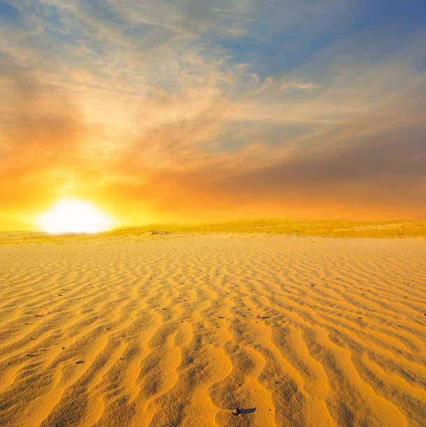 istock wide hot sandy desert at the dramatic sunset 2233803934
