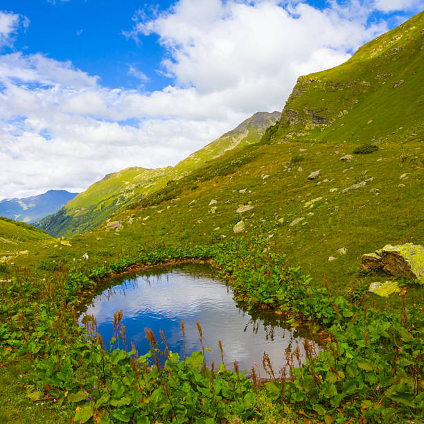 small blue lake among green summer mountain valley