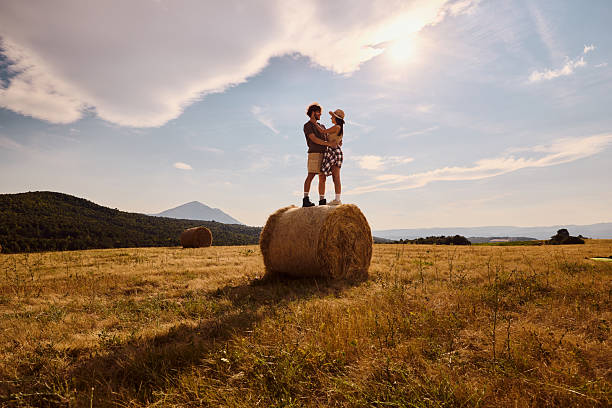 The top of a cylindrical hay bale with the moody cloudy sky in the background, harvest, autumn, farming