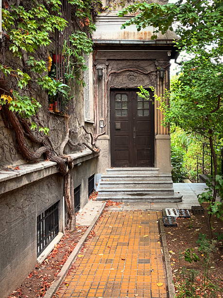 istock Old house entrance covered with ivy 2233806319