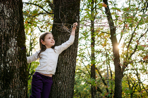 Cute little girl climbing at the tree in public park