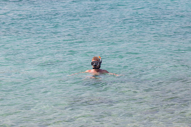 istock Snorkeling in sea 2233809383