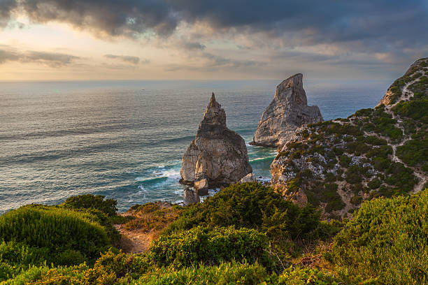 istock A dramatic coastal scene with towering sea stacks, rugged cliffs, and lush greenery under a golden-hued sky 2233810548