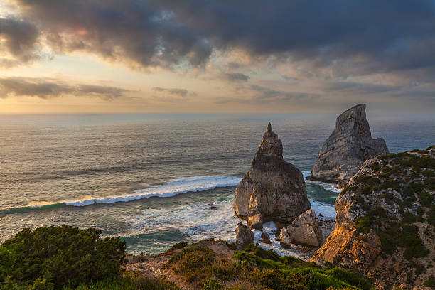 istock A dramatic coastal scene with towering sea stacks, rugged cliffs, and lush greenery under a golden-hued sky 2233810580