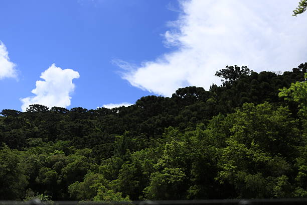 Campinha Grande do Sul