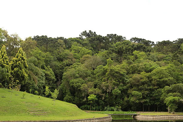 Campinha Grande do Sul