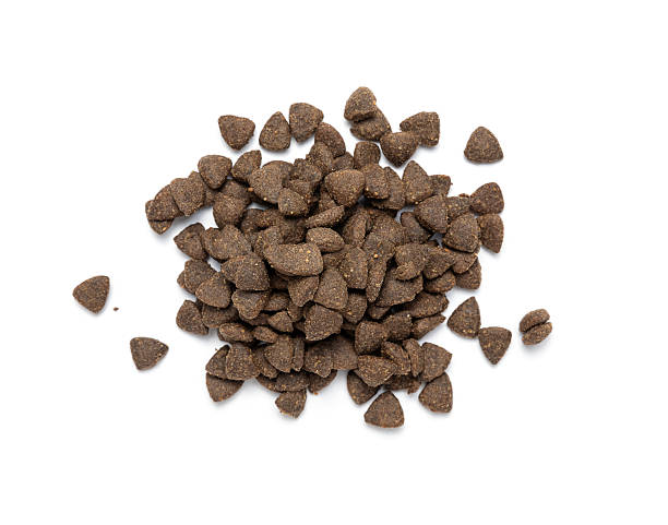 istock Healthy dog food 2233817065