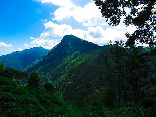 istock Scenic mountain view with lush greenery and blue sky. 2233817581