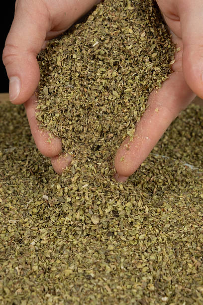 istock Dried natural oregano pouring from hands, close-up 2233821439