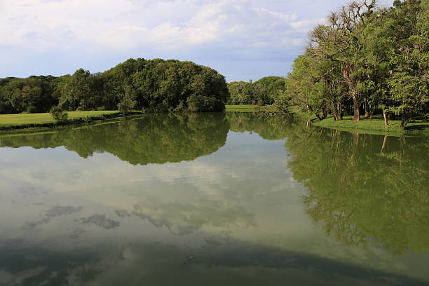 The Parque Tingui Trail is located in Curitiba, it is considered easy and short in length, used mainly for hiking, running and cycling.The park is well maintained, has several leisure areas, many animals and a beautiful lake.Inside the park is the Ukrainian Memorial, where there are some props from the time and some snippets of history.