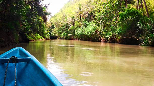 istock Peaceful Maron River Scene with Vibrant Greenery Viewed from a Blue Tourist Boat Bow in Pacitan, East Java, Indonesia 2233829641