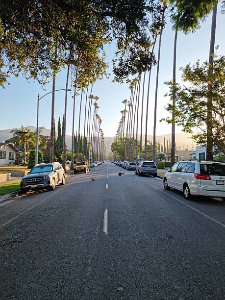 Los Angeles, United States – August 18, 2025: A vertical, eye-level shot of a quiet suburban street in Southern California